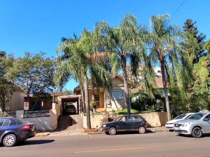 Syagrus romanzoffiana